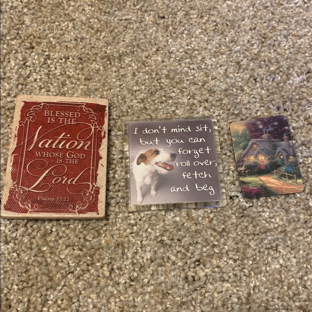 Refrigerator magnets